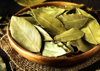 Laurel para lavar ropa: cómo utilizarlo