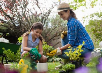 Jardinería: qué sembrar en mayo en la huerta casera