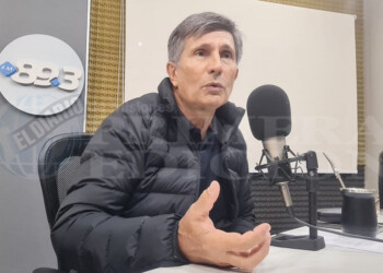 La importación de yerba “pone en riesgo nuestros mercados internacionales y la salud de los consumidores”