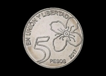 Cómo reconocer la moneda de $5 por la que se paga más de un millón de pesos