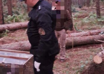 Joven murió aplastado cuando trabajaba en un pinar