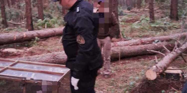 LUGAR. La víctima era oriunda de Ruiz de Montoya y falleció casi al instante.