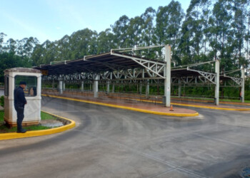 Qué servicios están afectados por el paro en Misiones y cuáles no