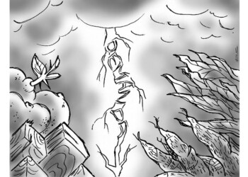 Cuestión de precios y demanda: cuatro productos misioneros necesitan ayuda