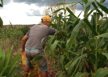 Día Internacional de la Sanidad Vegetal