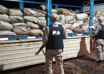 Intentaban cruzar en dos lanchas casi ocho toneladas de soja