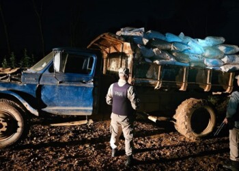 Secuestran más de 4,5 toneladas de soja listas para el contrabando