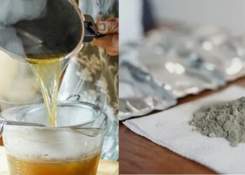 Graduada en Genética de la UNaM investiga una infusión que podría combatir el cáncer