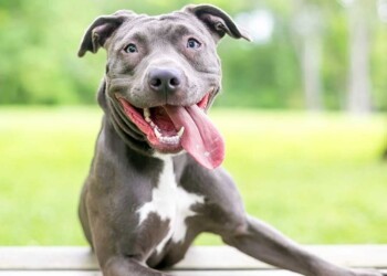 Pilares del equilibrio