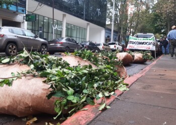 Yerbateros llegaron a Posadas