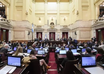 Ley Bases: cómo votaron los senadores misioneros