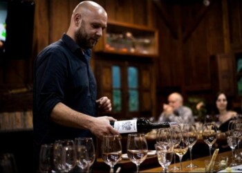 Triunfa en el mundo con su hidromiel y despierta fervor por el futuro  apícola de Alem