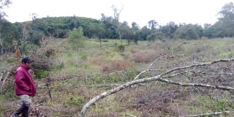 SER CONVOCADOS. Desde la primera denuncia lamentan no ser tenidos en cuenta a la hora de autorizar las talas.