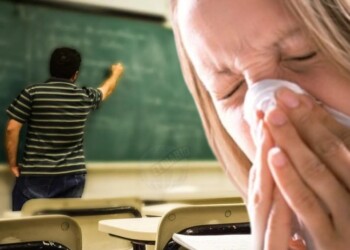 Dengue e Influenza, principales causas de licencias docentes en Misiones