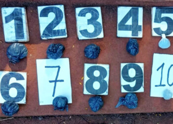 Incautan droga durante persecución en la chacra 181