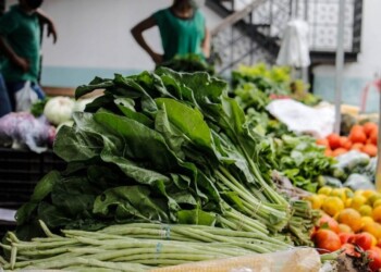 Exceso de lluvia y humedad afectó el abastecimiento de verduras