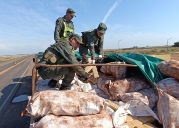 Llevaban más de 6 toneladas de marihuana ocultos en un cargamento de mandioca