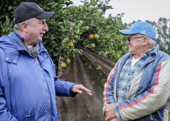 El Gobernador visitó a productor candelariense que hace 40 años produce cítricos orgánicos