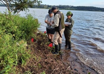 Investigan importante hallazgo arqueológico en Parque Federal Campo San Juan