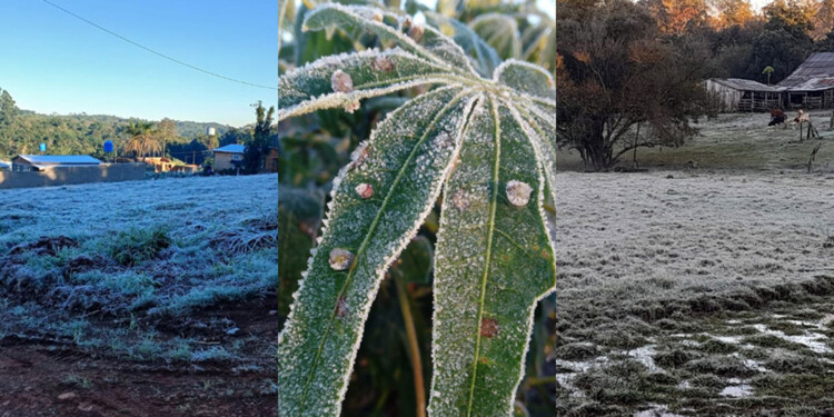 Fotos de la helada registrada esta mañana de domingo en Misiones
