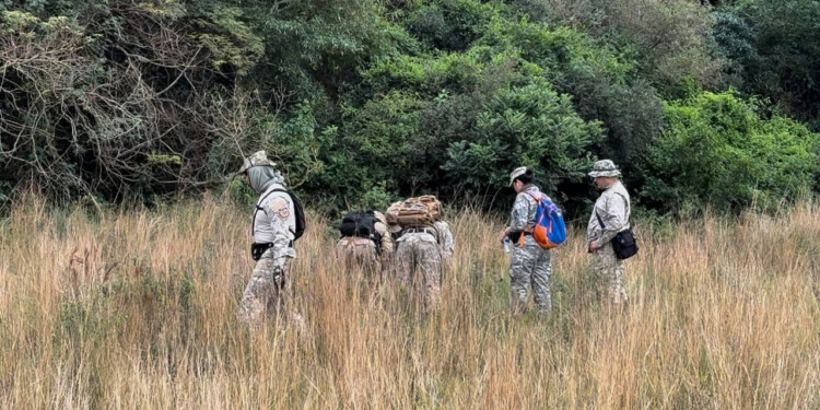 Continúa la búsqueda
de Loan tras seis días de su
desaparición. Foto:  NA