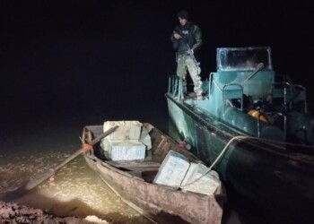 Prefectura decomisó en Puerto Rico un cargamento millonario de marihuana