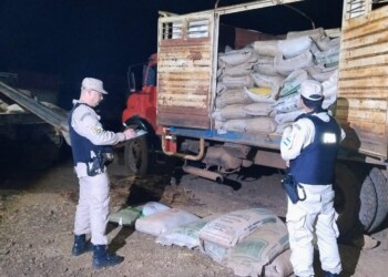 Prefectura decomisó más de 10 toneladas de soja en El Soberbio