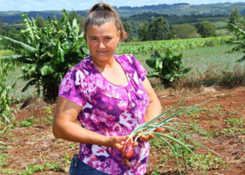 Misiones tiene 8.956 productores que no pagan Ingresos Brutos