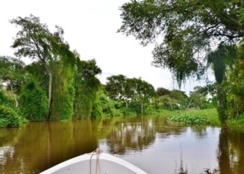 Eliminan arancel para pescar en el Isoró