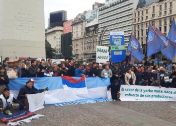 Yerbatazo en Buenos Aires: “Fue un día histórico para los productores misioneros”