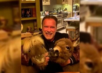 Terminator entre mascotas