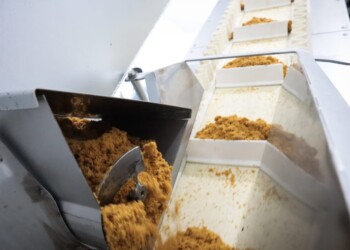 Azúcar rubio misionero gana mercado con grandes alimenticias y minoristas