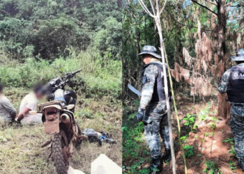 Desmantelan campamento de caza furtiva y detienen a dos hombres