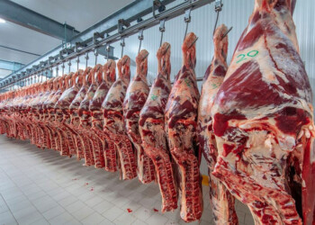 Subieron las exportaciones de carne vacuna y el precio de la hacienda tuvo una caída del 5,7% en mayo