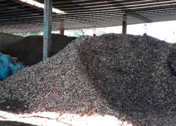 Escasez de chips pone en jaque a secaderos chicos y amenaza a toda la cadena de valor