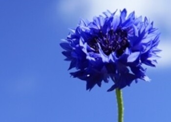 Cromoterapia: siempre hay cambios