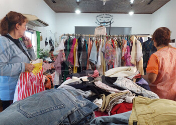 Solidaridad a full: la Asociación Civil Dar a Luz invita a su feria americana