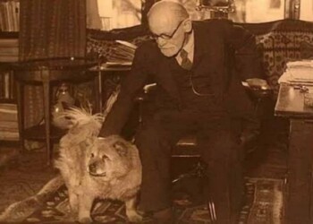 ¿Por qué deberíamos tener mascotas?