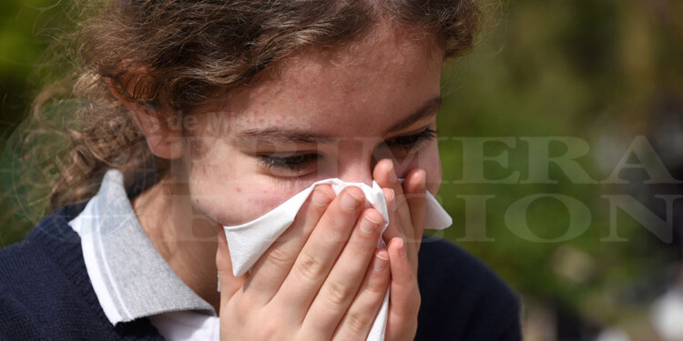 Imagen ilustrativa (Archivo)