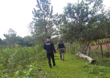 Operativo conjunto ante posibles ataques de felino en Guaraní