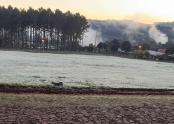 Heladas en fotos: localidades misioneras cubiertas de blanco este domingo