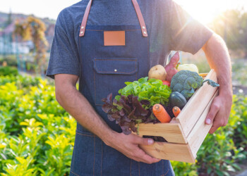Por primera vez en sus 42 ediciones, Misiones será sede del Congreso Nacional de Horticultura