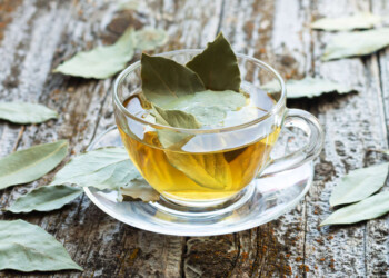 Hoja de laurel en infusiones: propiedades y cómo prepararlo