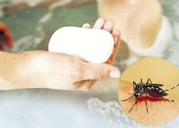 Alerta: un jabón atrae el mosquito del dengue, según un estudio de EEUU