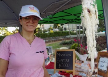 Bienestar y salud mental a la hora de emprender