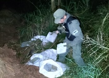 Más de 80 kilos de marihuana secuestrados en el operativo “linternas verdes” en Puerto Esperanza