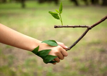 Día del Medio Ambiente