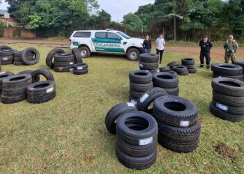 Incautaron 238 cubiertas de contrabando en el operativo “Ruedas a la carta”