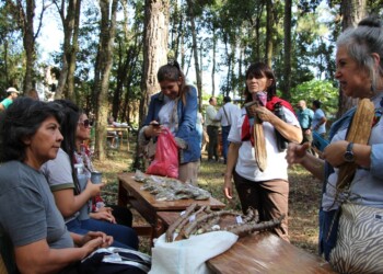 Agroecología: las semillas dan libertad