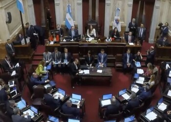 Dos senadores de Santa Cruz pusieron en peligro el quórum por la Ley Bases y el paquete fiscal